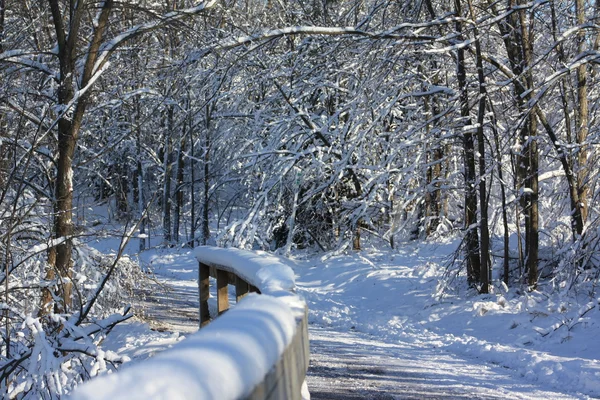 Winter's first snow — Stock Photo, Image