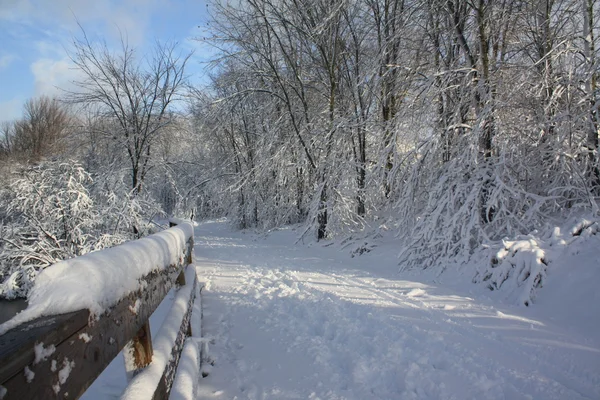 Zima ścieżka — Zdjęcie stockowe