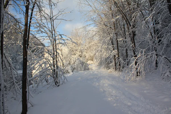 Vinter bana — Stockfoto