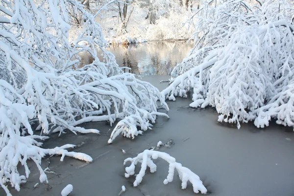 White winter — Stock Photo, Image