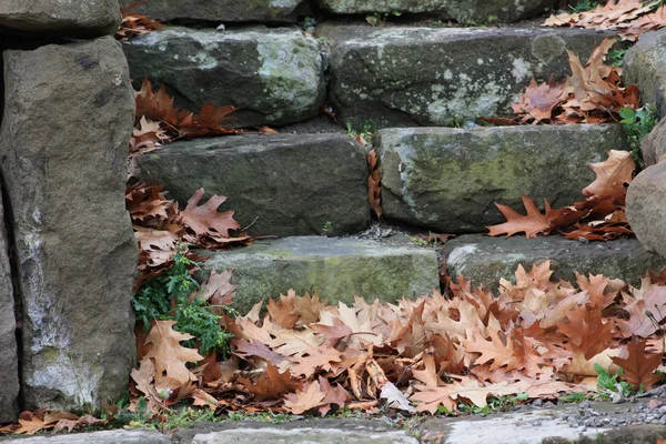 Schritte im Herbst — Stockfoto