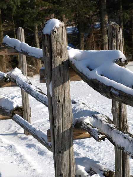 Winter hek — Stockfoto