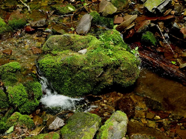 Moss cubierto de roca . — Foto de Stock