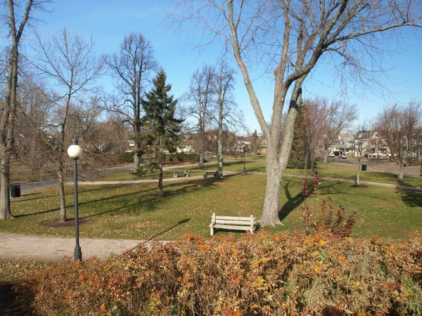 stock image Autumn park