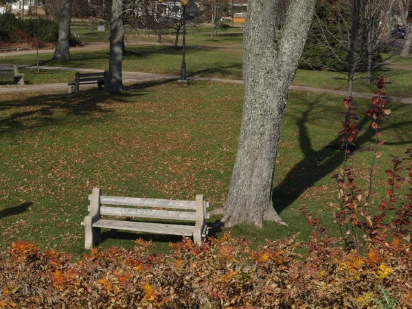 stock image It's autumn