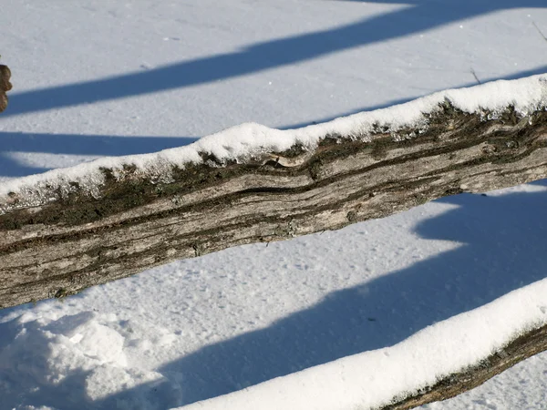Χειμώνα φράχτη — Φωτογραφία Αρχείου