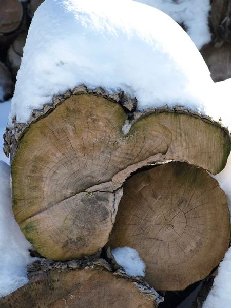 Zimní dřevo — Stock fotografie