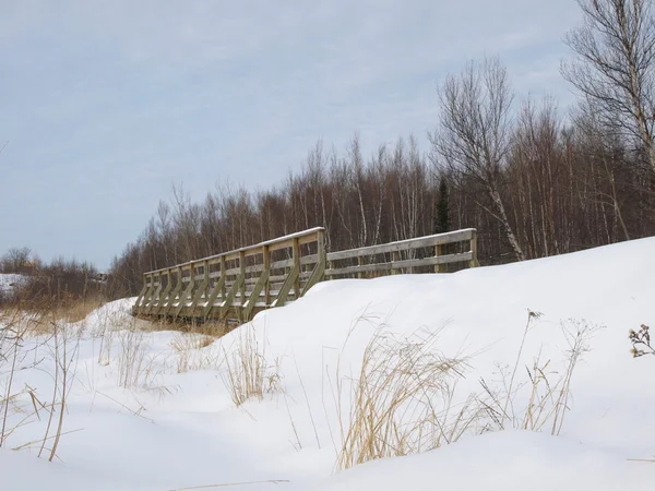 Winter bridge. — Stock Photo, Image