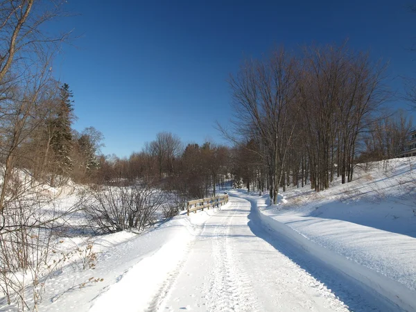 Winter pad in sneeuw. — Stockfoto