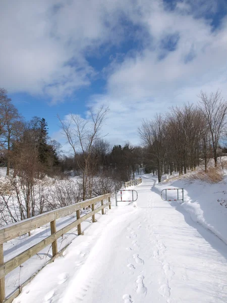 Scena invernale con neve — Foto Stock