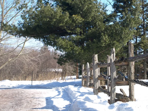 Winter fence — Stock Photo, Image