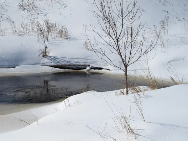冬天的第一场雪 — 图库照片
