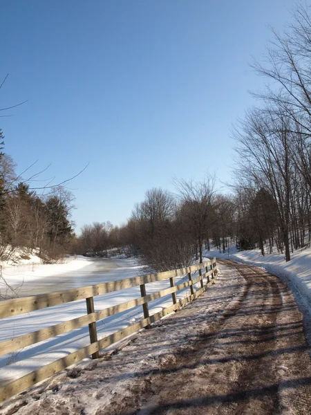 Inverno sul sentiero — Foto Stock