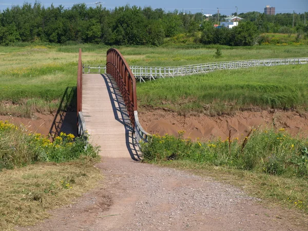 stock image Pedestrian bridge