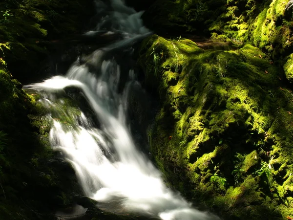 Wasserfälle im Grünen. — Stockfoto