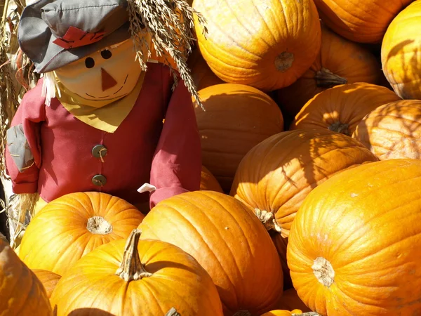 stock image Halloween pumpkins