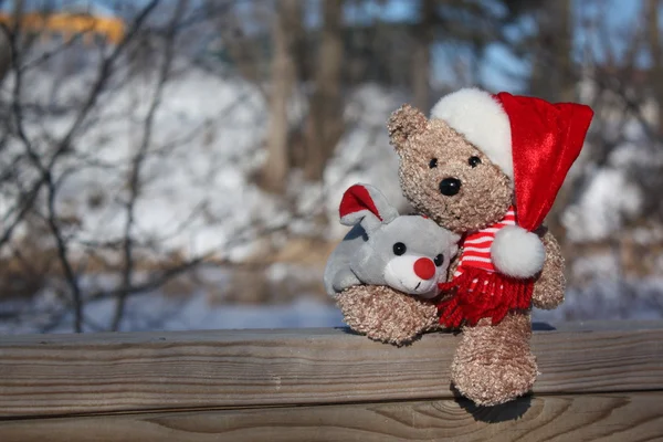 Medvěd a jeho přítel — Stock fotografie