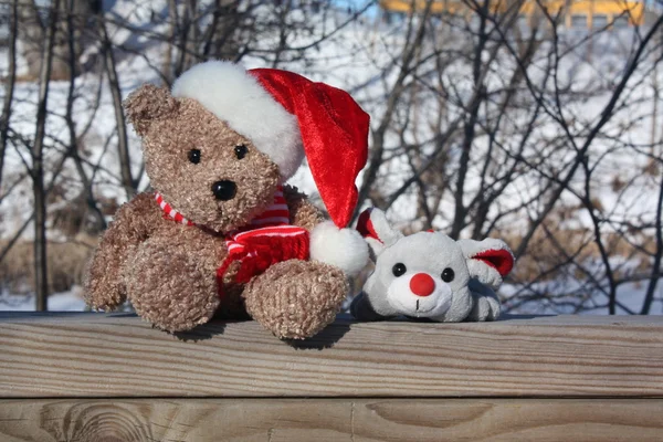 Ein Bär und sein Freund — Stockfoto