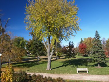 Sonbahar Parkı