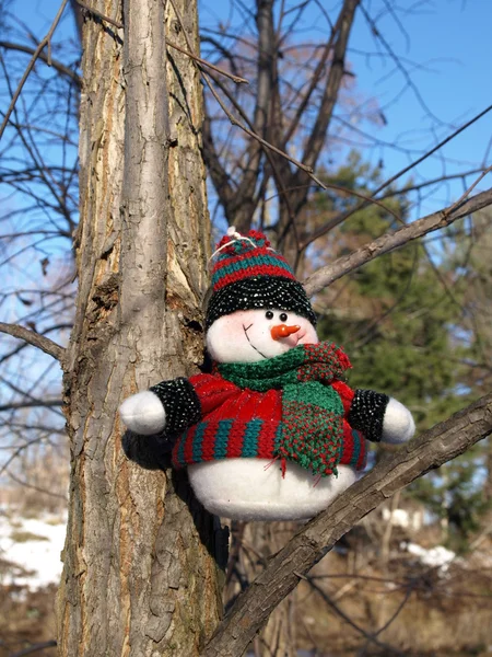 Boneco de neve à espera do Natal — Fotografia de Stock
