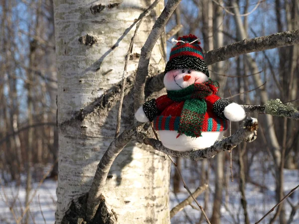 Bonhomme de neige attendant Noël — Photo