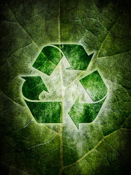Ecologische recycling — Stockfoto