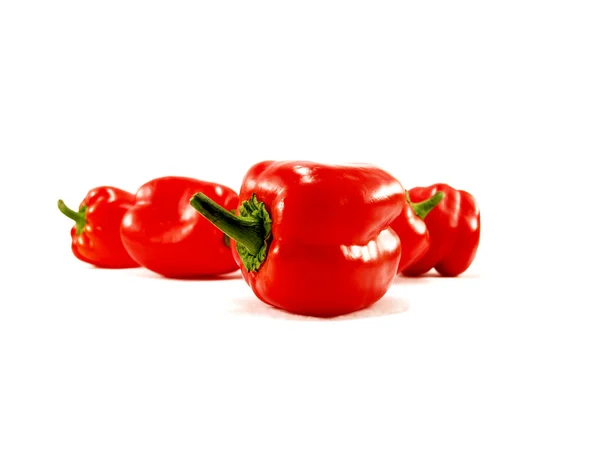 Paprica rossa — Foto Stock