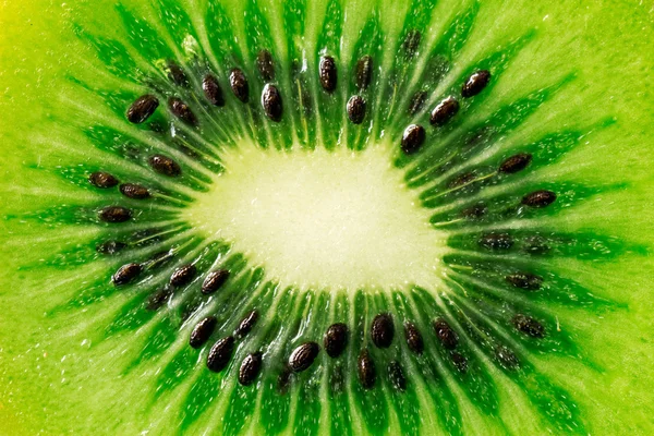 Juicy kiwi-frukt – stockfoto