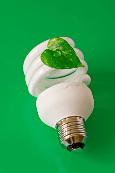 Енергозбереження лампочка — стокове фото
