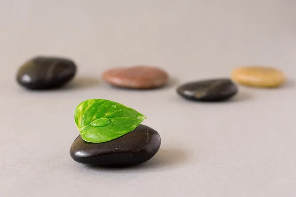 Zen Steine mit Blatt — Stockfoto