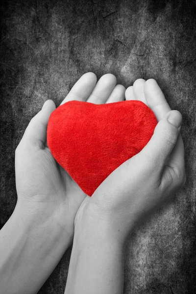 Vörös szív a kezekben — Stock Fotó