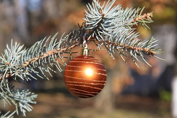 Fir branch with decoration Stock Image