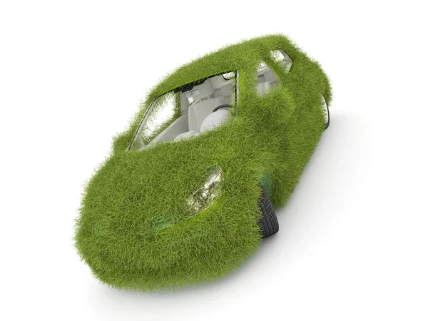 Auto decorata con erba verde . — Foto Stock