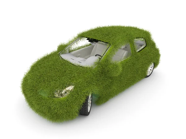 Auto decorado com grama verde . — Fotografia de Stock