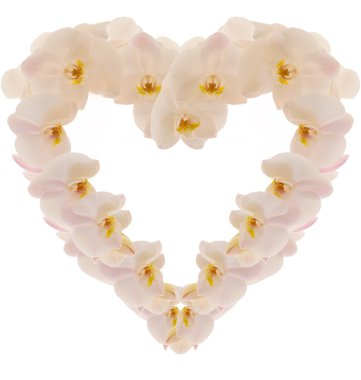Heart made from photo orchidea clipart
