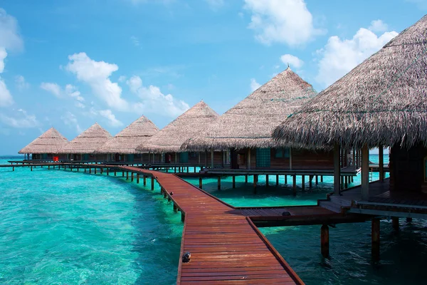 Ö i havet. Paradise! — Stockfoto