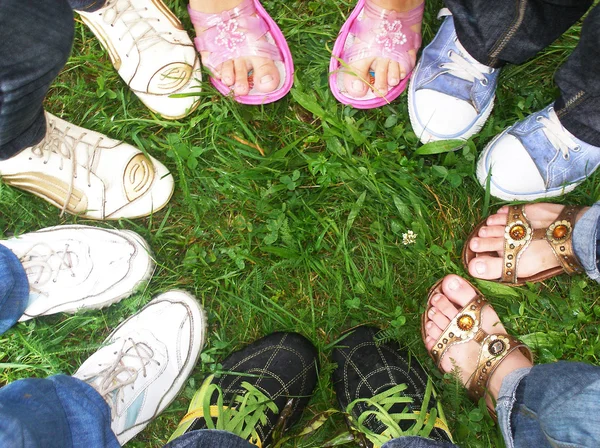 stock image Ring of legs