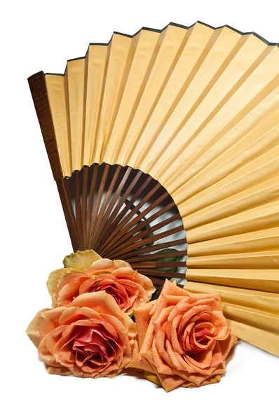 stock image Fan and rose