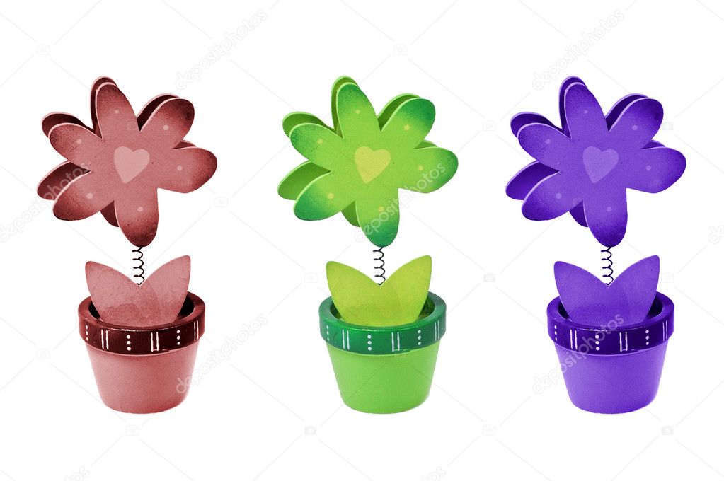 Three isolated flowers