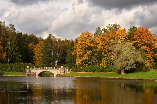 stock image Autumn forest fall