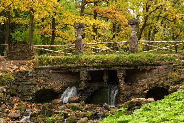 stock image Autumn forest fall