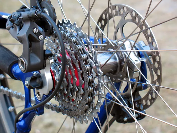 Заднє колесо гірського велосипеда Стокове Фото