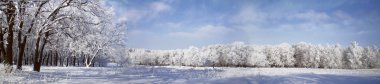 Winter panoramic view clipart