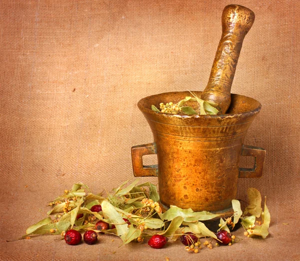 Old bronze mortar with herbs — Stock Photo, Image