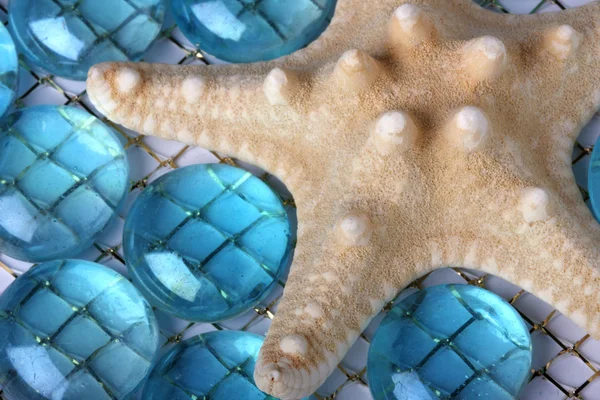 Primer plano de las estrellas de mar — Foto de Stock