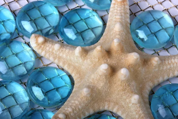 Primer plano de las estrellas de mar — Foto de Stock