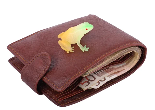 Wallet with frog — Stock Photo, Image