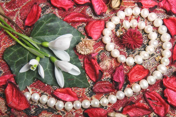 Stillleben mit Perlen und Blumen — Stockfoto