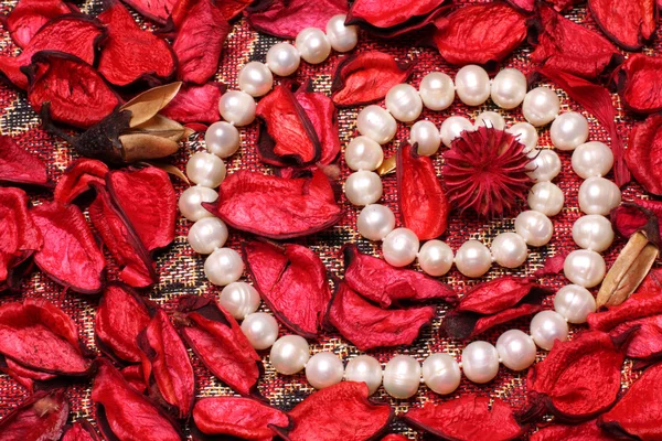 Collana di perle con petali rossi — Foto Stock