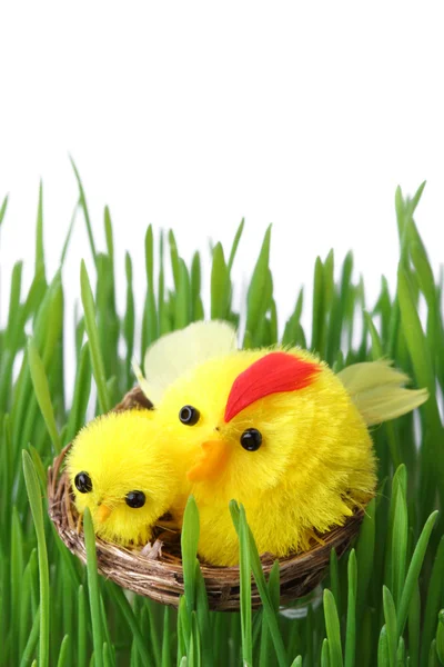 Påskkycklingar i gräset — Stockfoto
